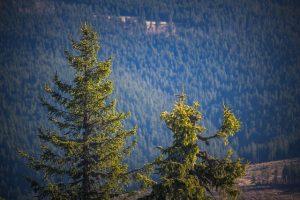 Discover Romania: A Comprehensive Travel Guide to Its Stunning Landscapes, Rich Culture, and History