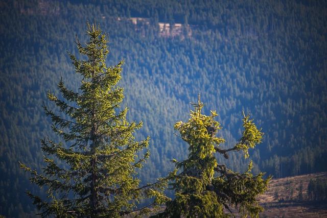 Discover Romania: A Comprehensive Travel Guide to Its Stunning Landscapes, Rich Culture, and History